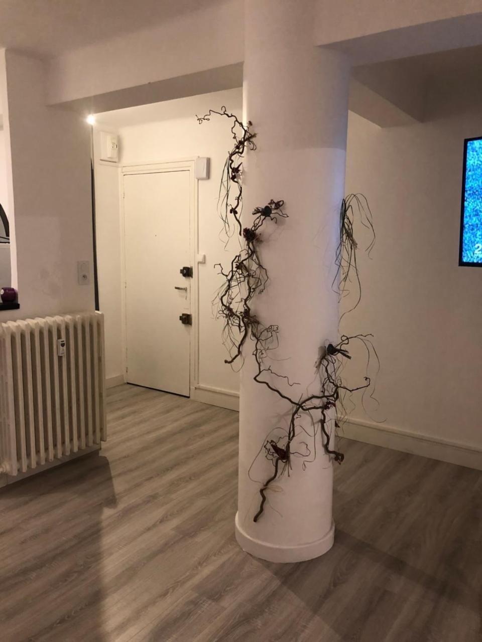 Dupuy T3 Aseptise Appartement Toulouse Buitenkant foto